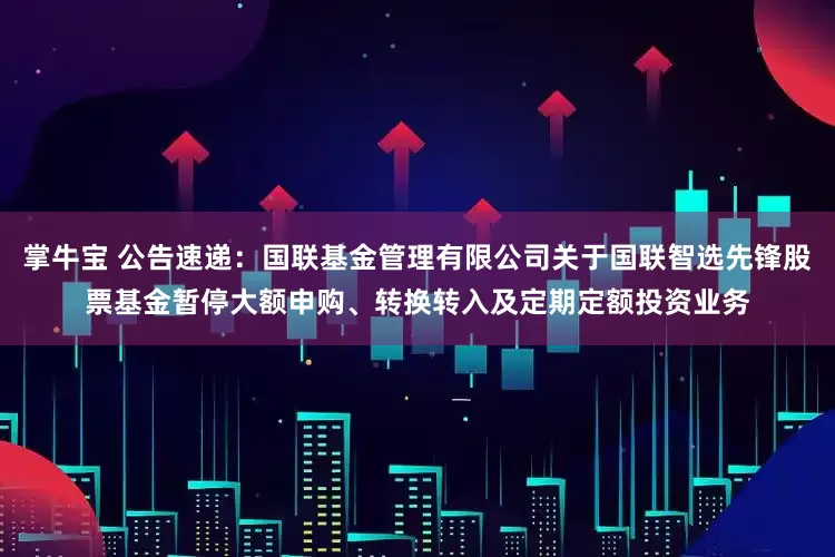 掌牛宝 公告速递：国联基金管理有限公司关于国联智选先锋股票基金暂停大额申购、转换转入及定期定额投资业务